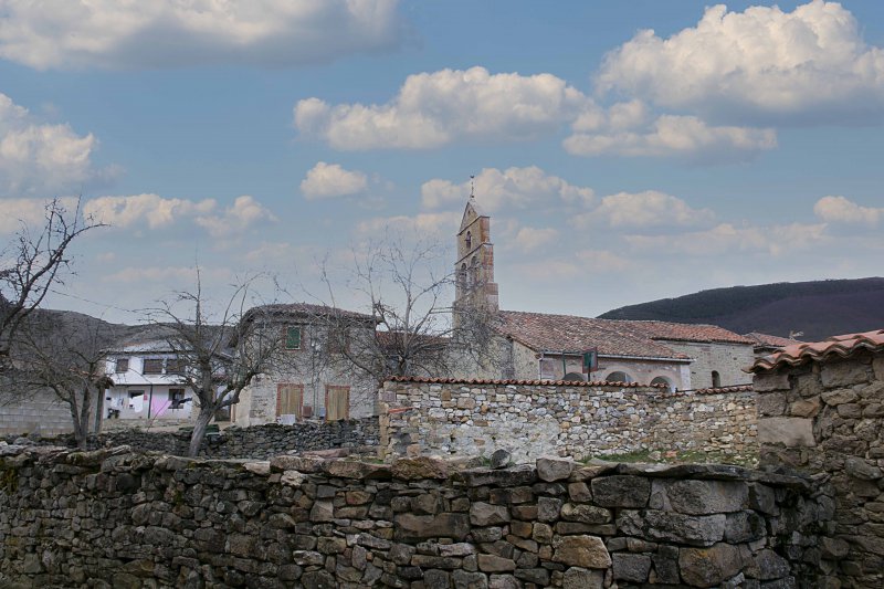 Viego